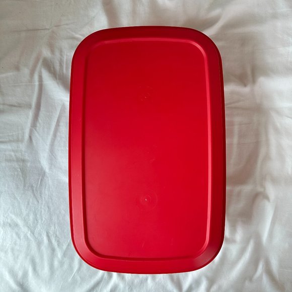 The Container Store Kitchen Large 25 Gallon Storage Container With